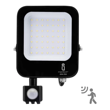 Aigostar - LED Valonheitin sensorilla LED/30W/230V 6500K IP65