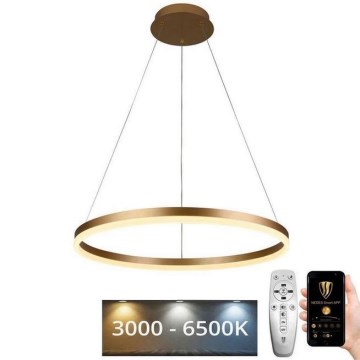 Brilagi - Himmennettävä LED-kattokruunu johdossa CIRCLE LED/42W/230V 3000-6500K + kauko-ohjaus