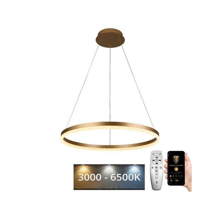 Brilagi - Himmennettävä LED-kattokruunu johdossa CIRCLE LED/42W/230V 3000-6500K + kauko-ohjaus