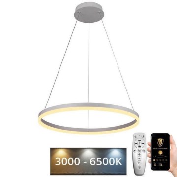 Brilagi - Himmennettävä LED-kattokruunu johdossa CIRCLE LED/42W/230V 3000-6500K + kauko-ohjaus