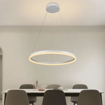 Brilagi - Himmennettävä LED-kattokruunu johdossa CIRCLE LED/42W/230V 3000-6500K + kauko-ohjaus