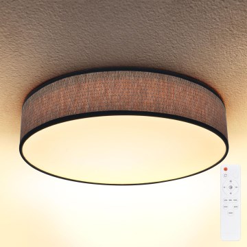 Brilagi - Himmennettävä LED-kattovalaisin ADELA LED/48W/230V 3000-6500K halkaisija 40 cm + kauko-ohjaus