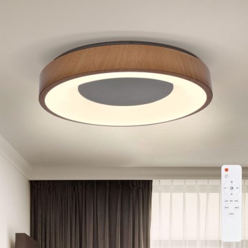 Brilagi - Himmennettävä LED-kattovalaisin DORIA LED/48W/230V 3000-6500K halkaisija 39 cm + kauko-ohjaus