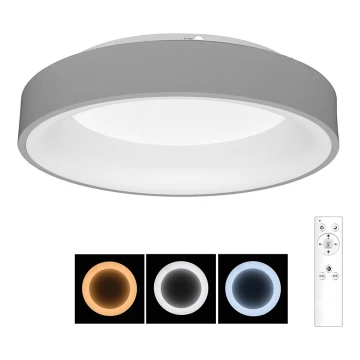 Brilagi - LED Himmennettävä kattovalo FALCON LED/40W/230V 3000-6500K harmaa + kauko-ohjain