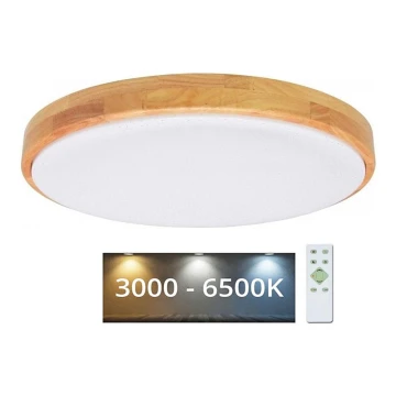 Brilagi - LED Himmennettävä kattovalo PINE LED/60W/230V 3000-6500K  + kauko-ohjain