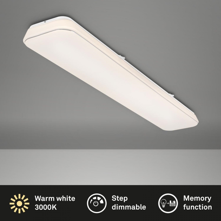 Briloner 3042-016 - Himmennettävä LED-kattovalaisin RUPA LED/48W/230V