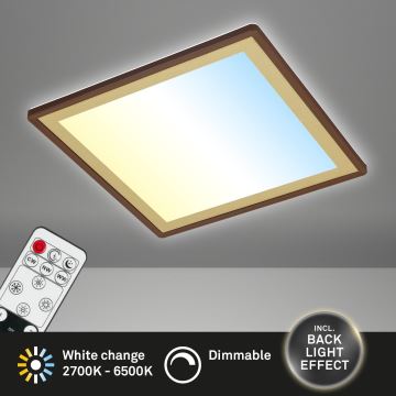 Briloner 7459-417 - Himmennettävä LED-kattovalaisin DECO LED/24W/230V 2700-6500K + kauko-ohjaus