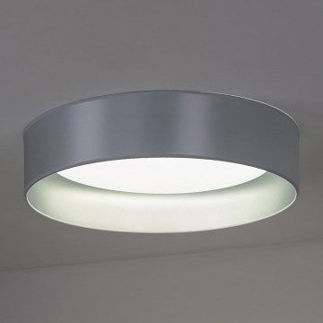 Duolla - LED-kattovalaisin ROLLER LED/24W/230V hopea