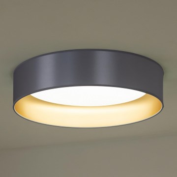 Duolla - LED-kattovalaisin ROLLER LED/24W/230V hopea/kulta