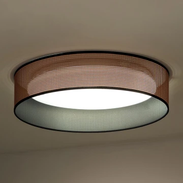 Duolla - LED-kattovalaisin ROLLER LED/24W/230V kupari/musta