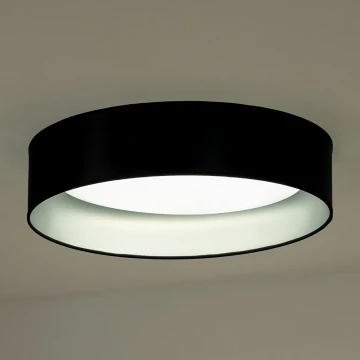 Duolla - LED-kattovalaisin ROLLER LED/24W/230V musta/hopea