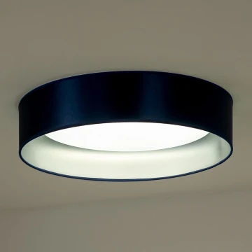 Duolla - LED-kattovalaisin ROLLER LED/24W/230V sininen/hopea