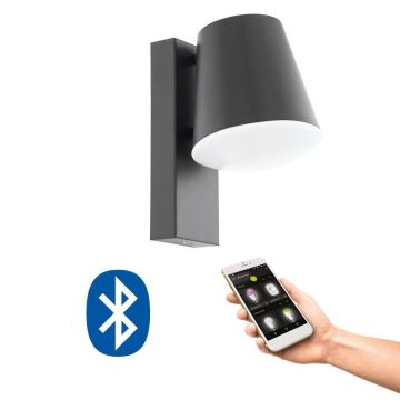 Eglo 33559 - LED Himmennettävä ulkoseinävalaisin CALDIERO-C 1xE27/9W/230V IP44