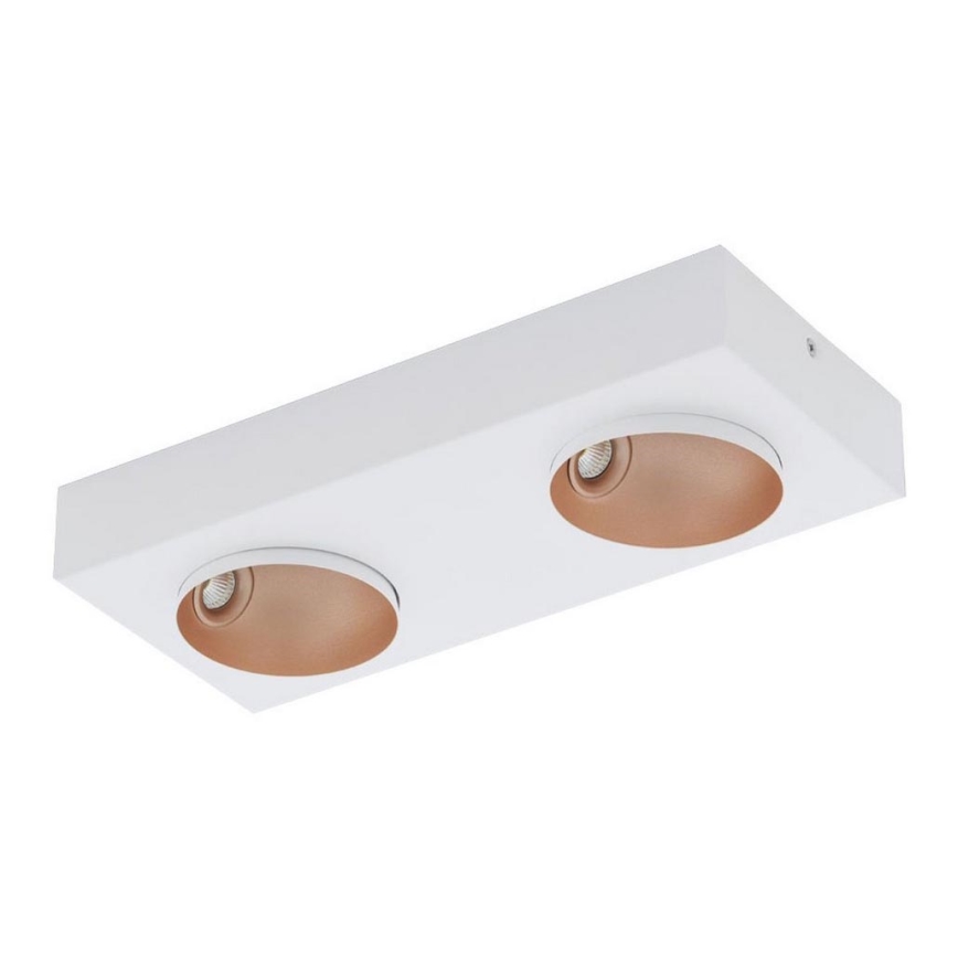 Eglo 39374 - Himmennettävä LED-kattovalaisin RONZANO 2xLED/3,3W/230V