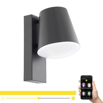 Eglo - LED Himmennettävä ulkoseinävalaisin CALDIERO-C 1xE27/9W/230V IP44