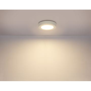 Globo - Himmennettävä LED-valaisin kylpyhuoneeseen LED/18W/230V 3000/4000/6000K IP44