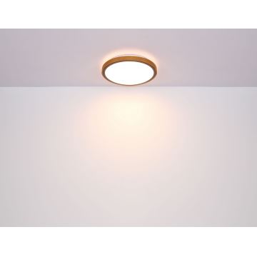 Globo - LED-kattovalaisin LED/24W/230V 3000/4500/6000K halkaisija 42 cm