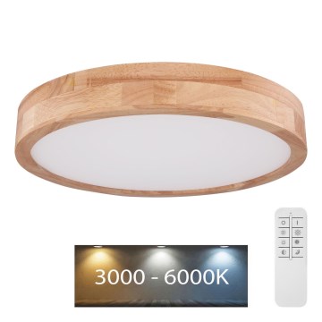 Globo - Himmennettävä LED-kattovalaisin LED/24W/230V 3000-6000K + kauko-ohjaus