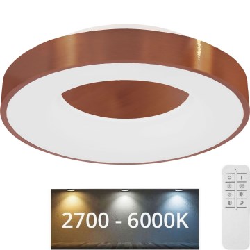 Globo - Himmennettävä LED-kattovalaisin LED/30W/230V 2700-6000K + kauko-ohjaus