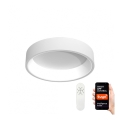 Immax NEO 07016L - Himmennettävä LED-kattovalaisin AGUJERO LED/30W/230V + Kauko-ohjaus Tuya