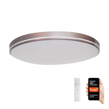 Immax NEO 07150-C40 - Himmennettävä LED-kattovalaisin NEO LITE AREAS LED/24W/230V Tuya Wi-Fi ruskea + kaukosäädin