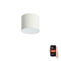 Immax NEO 07241L - himmennettävä LED-kattovalaisin RONDATE LED/18W/230V 11,5 cm Wi-Fi Tuya