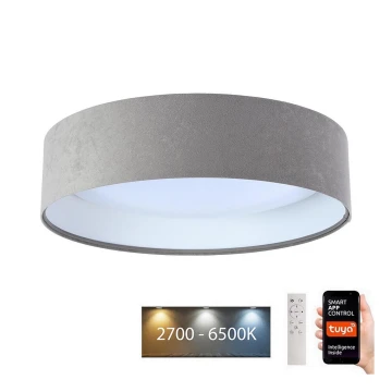 LED Himmennettävä kattovalaisin SMART GALAXY LED/24W/230V d. 45 cm 2700-6500K Wi-Fi Tuya harmaa/valkoinen + kaukosäädin