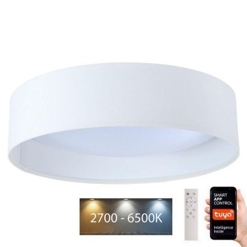 LED Himmennettävä valo SMART GALAXY LED/36W/230V halk. 55 cm Wi-Fi Tuya + kaukosäädin