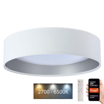 LED Himmennettävä valo SMART GALAXY LED/36W/230V halk. 55 cm Wi-Fi Tuya + kaukosäädin