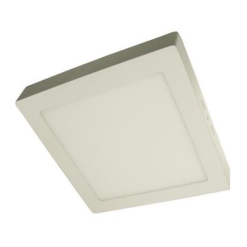 LED-kattovalaisin GERRY LED/24W/230V 4000K