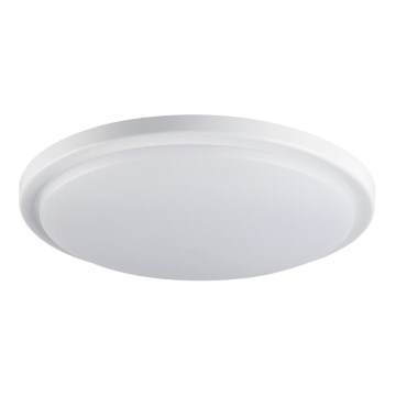 LED-kattovalaisin kylpyhuoneeseen ORTE LED/24W/230V IP54