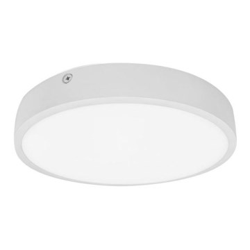 LED-kattovalaisin kylpyhuoneessa EGON LED/16W/230V IP44 4000K