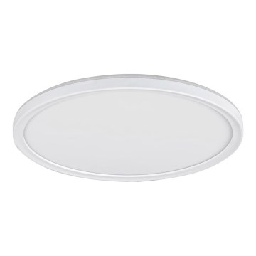 LED-kattovalaisin LED/18W/230V