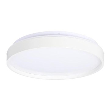 LED-kattovalaisin TEXAS LED/15W/230V valkoinen