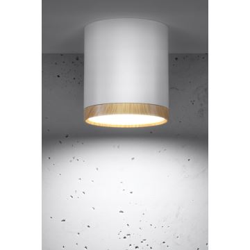 LED-kattovalaisin TUBA LED/5W/230V valkoinen/beige