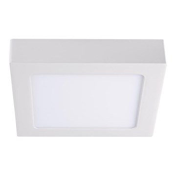 LED Kattovalo KANTI LED/12W/230V 3000K valkoinen