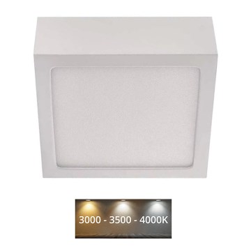 LED Kattovalo NEXXO LED/7,6W/230V 3000/3500/4000K 12x12 cm valkoinen