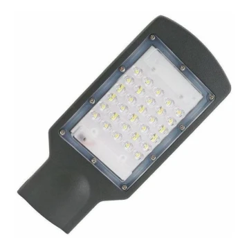 LED-katuvalo LED/30W/170-400V IP67