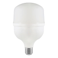 LED-polttimo T100 E27/30W/230V 4000K