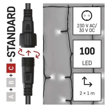 LED-ulkojouluketju 100xLED/1x2m IP44 kylmänvalkoinen