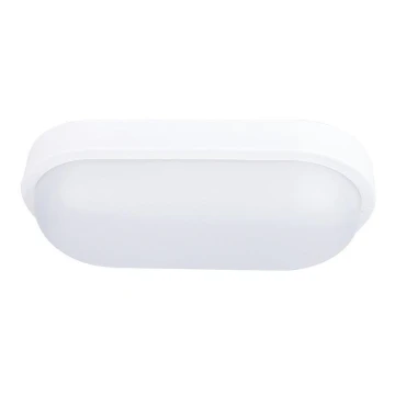 LED-ulkokattovalaisin LED/20W/230V IP54