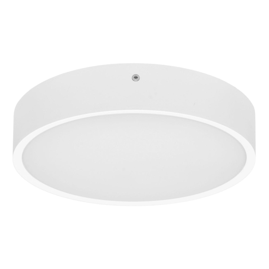 LED-ulkokattovalaisin MARTIN LED/25W/230V 3000/4000K halkaisija 35 cm IP65 valkoinen