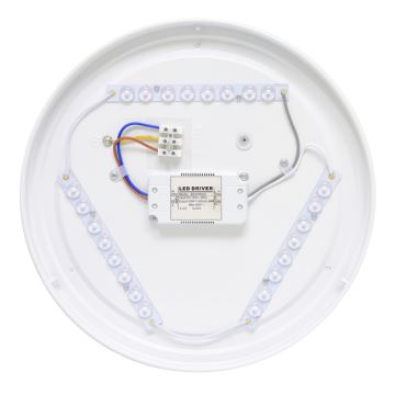 LED-ulkokattovalaisin NELA LED/32W/230V IP44