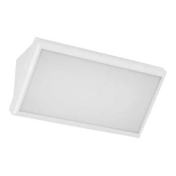 LED-ulkoseinävalaisin LED/20W/230V 3000K IP65 valkoinen