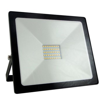 LED-valonheitin LED/30W/230V IP65