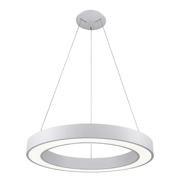 LED2 - LED Himmennettävä kattokruunu johdossa SATURN LED/50W/230V 3000K/4000K valkoinen