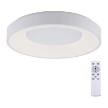 Leuchten Direkt 14327-16 - Himmennettävä LED-kattovalaisin ANIKA LED/60W/230V + kauko-ohjaus