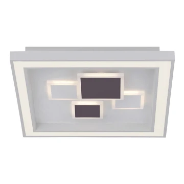 Paul Neuhaus 6283-16 - Himmennettävä LED-kattovalaisin ELIZA LED/30W/230V + LED/18,5W