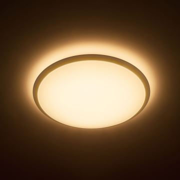 Philips - LED-kattovalaisin 1xLED/20W/230V