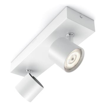 Philips 56242/31/P0 - Himmennettävä LED-kohdevalo STAR 2xLED/4,5W/230V